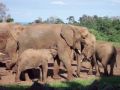 Reisetipp Wildcats Safaris