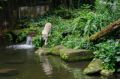 Reisetipp Singapur Zoo