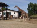 Reisetipp Zoo Bratislava