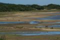 Reisetipp iSimangaliso Wetland Park / St. Lucia Wetlands Park