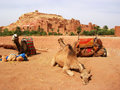 Reisetipp Visages du Maroc Trekking Touren