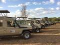 Reisetipp Geführte Touren Gosheni Safaris