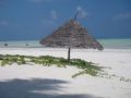 Reisetipp Strand Paje