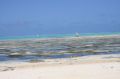 Reisetipp Strand Jambiani