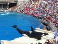 Reisetipp Sea World