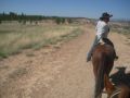 Reisetipp Reiten Ruby&#039;s Horseback Adventures Bryce Canyon