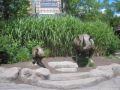 Reisetipp Cincinnati Zoo und Botanischer Garten