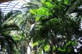 Reisetipp Tropischer Regenwald (Mirage)