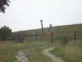 Reisetipp The Wilds