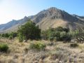 Reisetipp Guadalupe Mountains National Park