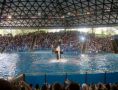Reisetipp Seaworld
