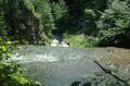 Reisetipp Letchworth State Park
