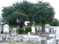 Reisetipp Saint Louis Cemetery