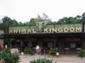 Reisetipp Disney&#039;s Animal Kingdom