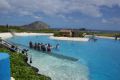 Reisetipp Sea Life Park Hawaii