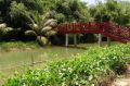 Reisetipp Red Bridge Restaurant