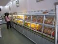 Reisetipp Bäckerei Vinh Thanh