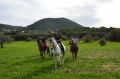 Reisetipp Mallorca Horses