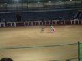 Reisetipp Plaza de Toros
