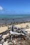 Reisetipp Guide Brigitte Maurice
