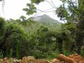 Reisetipp El Yunque