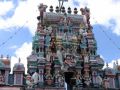 Reisetipp Thaipusam