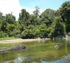 Reisetipp Mulu Nationalpark
