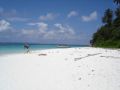 Reisetipp Coral Island Resort