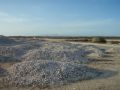 Reisetipp Muschelfriedhof Isla de Coche