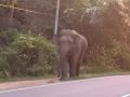 Reisetipp Nationalpark Wsgamuwa
