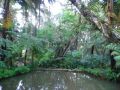Reisetipp Botanical Gardens Hakgala