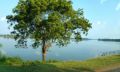 Reisetipp Srilankaerlebnisreisen