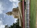 Reisetipp Wewurukannala Vihara Tempel