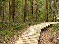 Reisetipp Wandergebiet Borkovická Blata