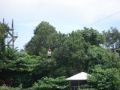 Reisetipp Zip Lines
