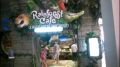 Rainforest Cafe Dubai