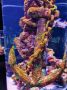 Reisetipp Aquarium Antalya