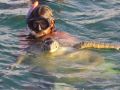 Reisetipp Schildkrötenfahrt