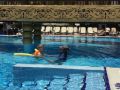 Schwimmschule Balina