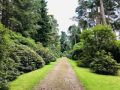 Reisetipp Rhododendronpark