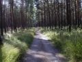 Reisetipp Nationalpark Müritz