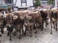 Reisetipp Viehscheid