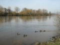Reisetipp Die Fulda (Fluss)