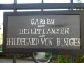 Reisetipp Heilkräutergarten Hildegard von Bingen Gelnhausen