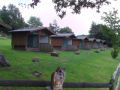 Reisetipp Naturwildpark Freisen