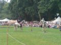 Reisetipp Mittelalterlich Phantasie Spectaculum