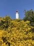 Reisetipp Leuchtturm auf Hiddensee