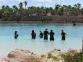 Reisetipp Delfinschwimmen Dolphin Cay Paradise Island