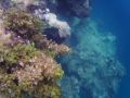 Reisetipp Schnorcheln Puerto Plata