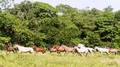Reisetipp Rancho El Contento